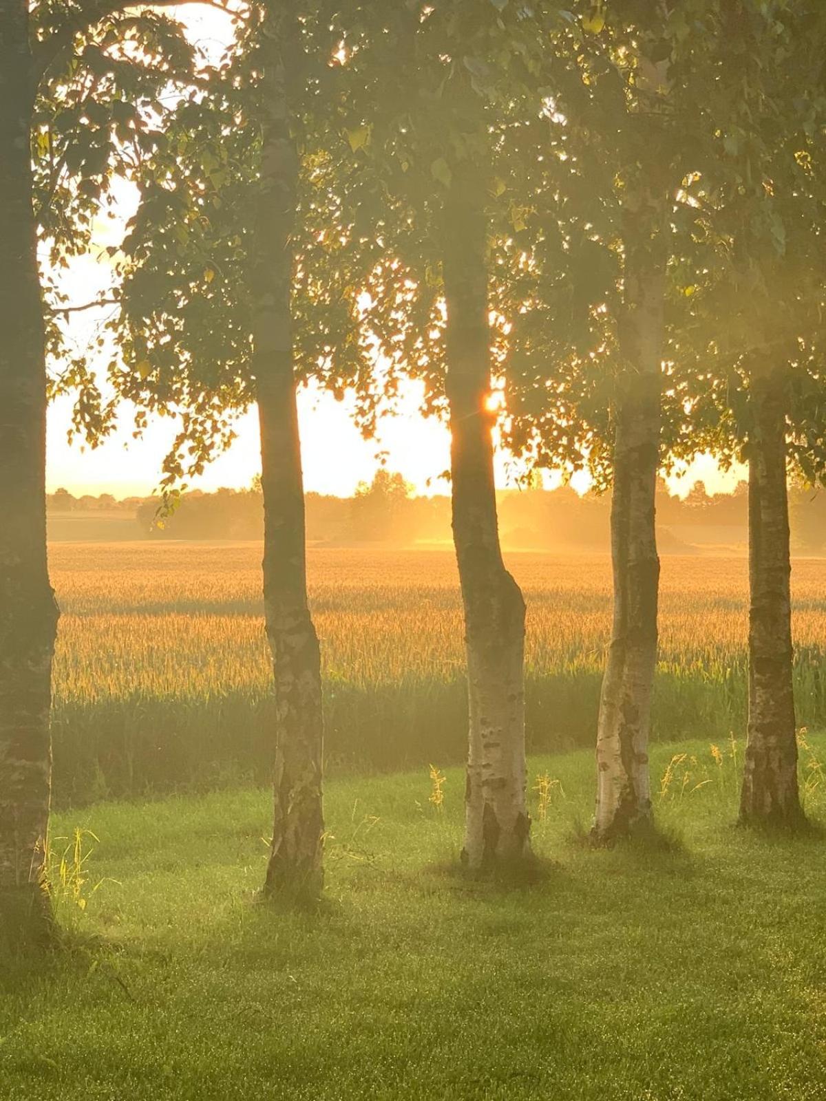 Stunning Romantic Cabin Close To Baltic See Idestrup Ngoại thất bức ảnh